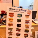 씨유 분당우성점 | 서현역 타코야끼 맛집 간식 포장해서 먹기 좋은 리얼문어타코홀릭