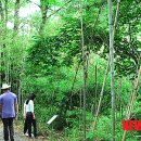 청백리길 이미지