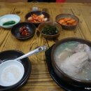 산호가든