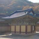 순천-55호 이미지