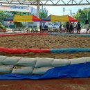 당진씨름장 이미지