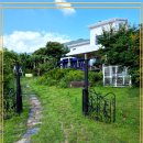 고양이 생활 호텔 이미지