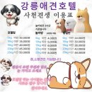 사천견생 이미지