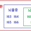 뇌혈관질환 뇌졸중 뇌출혈 병명 코드 이미지