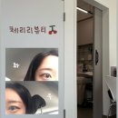 감삼동341 | 대구 죽전 속눈썹펌 @체리리뷰티