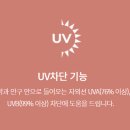 아이리스안경 콘택트 이미지