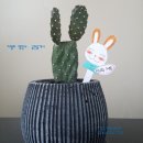 서부행정사사무소 네이버블로그
