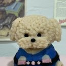 멍깨비마켓 이미지