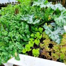 다민농장 이미지