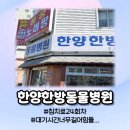 한양한방동물병원 | 한양한방동물병원 강아지후지마비(하반신마비) 침치료 #24