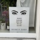 비비드 속눈썹 이미지