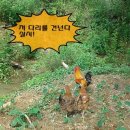 선비골농장 이미지