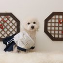 윤그루밍 이미지