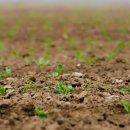 경북농약사 이미지