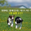 별빛이 흐르는 정원 이미지