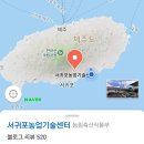 서귀포농업기술센터 | ● 제주국제감귤박람회 ● 서귀포농업기술센터 ● 24/11/13 - 19