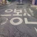 주정차단속-125 이미지