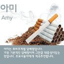 허브아미