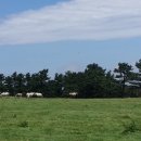 공항뚝배기 이미지