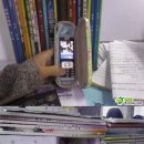 휴대폰챔피언 프런티어타임스