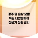 너만봄헤어 이미지