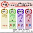 로얄팰리스4차(목감다인4차로얄팰리스) | &lt;월세&gt; 목감역 초역세권 병의원 추천하는 다인로얄팰리스 목감4차 상가