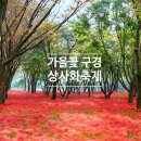 콘서트374 | 전남 영광가볼만한곳 불갑산 상사화축제 초대가수 셔틀버스 가을꽃 여행