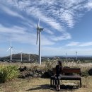 준카프라자 이미지