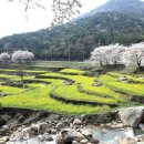 남해쁠라야 이미지