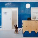 런던동물병원 이미지