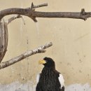 대전오월드 | 대전 오월드 방문 후기