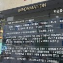 네일보네르 이미지