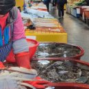 풍년꽃게 이미지