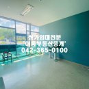 도안동로 이미지