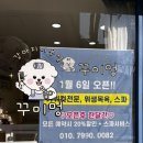 수성구애견미용꾸미멍
