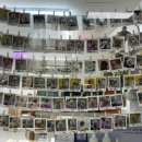 무아몽 해운대 강아지 애견미용 이미지