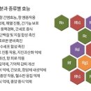 옥천농장 이미지