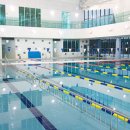 체육회관길 이미지