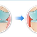 양산동물메디컬센터 이미지