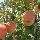 차만술행정사사무소 이미지