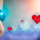 듀오 피트니스 이미지