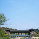 낙동강변로4-31 | 경주 뚜벅이 당일치기 여행코스 추천 미술관, 문화유적, 카페, 맛집까지