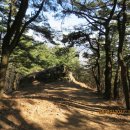 부산진구-17 이미지