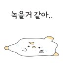 포포펜션