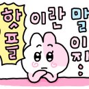 커들리(Cuddly)