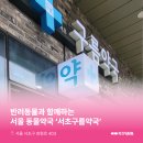 구름약국 이미지