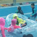 선덕유치원 이미지