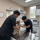 도청동물병원 이미지