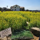 에코김밥천국 | 한 달 지나서 쓰는 제주 여행 후기랄까... (근데 이제 3년이 더 흘러버린)