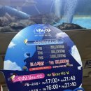 해운대박선장